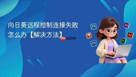 向日葵远程控制连接失败怎么办【解决方法】