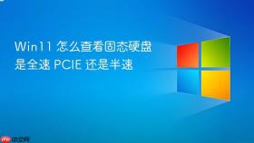 win11 怎么查看固态硬盘是全速 pcie 还是半速