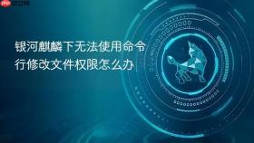 银河麒麟下无法使用命令行修改文件权限怎么办