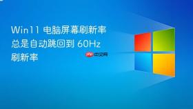Win11 电脑屏幕刷新率总是自动跳回到 60Hz 刷新率