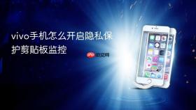 vivo手机怎么开启隐私保护剪贴板监控