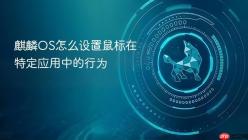 麒麟OS怎么设置鼠标在特定应用中的行为