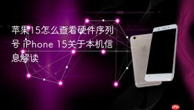 苹果15怎么查看硬件序列号 iPhone 15关于本机信息解读