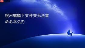 银河麒麟下文件夹无法重命名怎么办