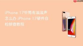 iphone 17听筒有滋滋声怎么办 iphone 17硬件自检排查教程