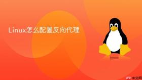 Linux怎么配置反向代理