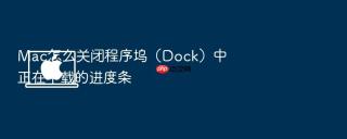 mac怎么关闭程序坞（dock）中正在下载的进度条