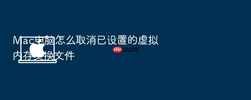 mac电脑怎么取消已设置的虚拟内存交换文件