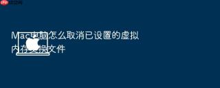 Mac电脑怎么取消已设置的虚拟内存交换文件