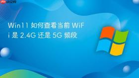 win11 如何查看当前 wifi 是 2.4g 还是 5g 频段