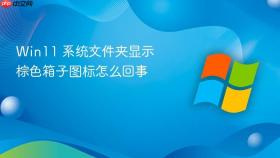 Win11 系统文件夹显示棕色箱子图标怎么回事