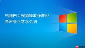 电脑网页视频播放绿屏但是声音正常怎么调