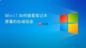 Win11 如何查看笔记本屏幕的色域信息