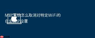 mac系统怎么取消对特定wifi的自定义ip设置