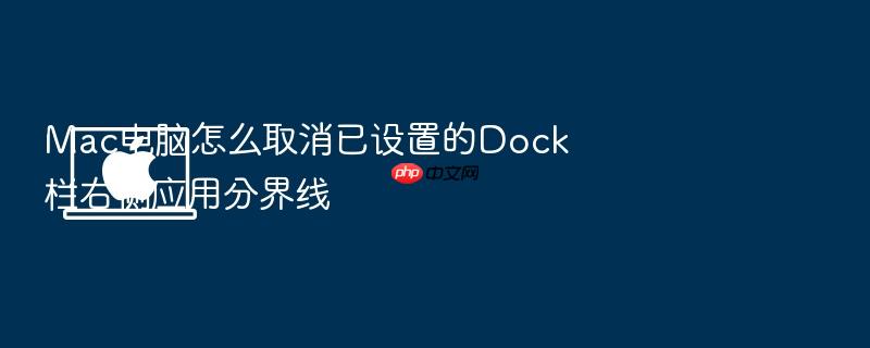 mac电脑怎么取消已设置的dock栏右侧应用分界线
