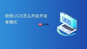 统信UOS怎么开启开发者模式