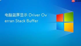 电脑蓝屏显示 Driver Overran Stack Buffer