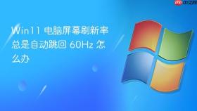 Win11 电脑屏幕刷新率总是自动跳回 60Hz 怎么办