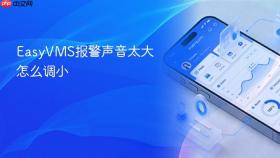EasyVMS报警声音太大怎么调小
