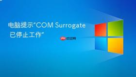 电脑提示“COM Surrogate 已停止工作”