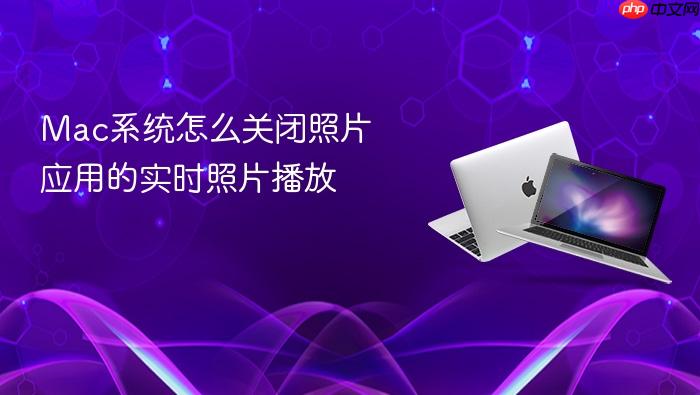 mac系统怎么关闭照片应用的实时照片播放