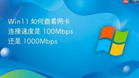 win11 如何查看网卡连接速度是 100mbps 还是 1000mbps