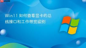 Win11 如何查看显卡的总线接口和工作带宽级别
