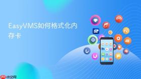 easyvms如何格式化内存卡