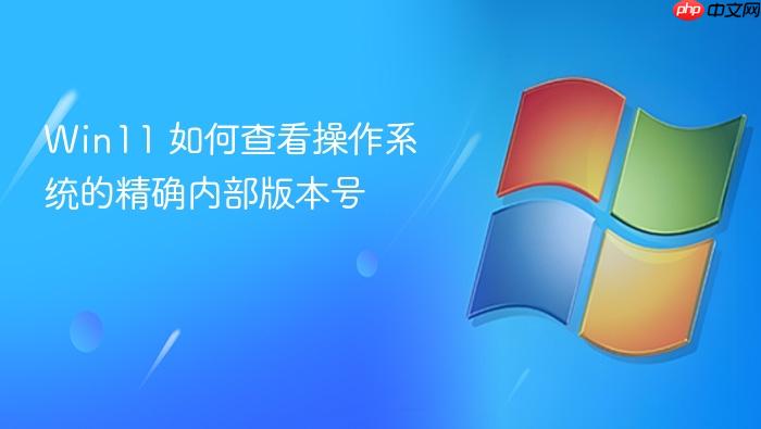 win11 如何查看操作系统的精确内部版本号
