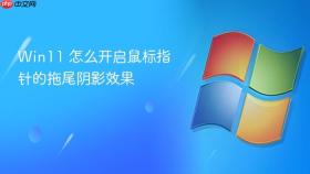 win11 怎么开启鼠标指针的拖尾阴影效果