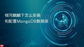 银河麒麟下怎么安装和配置MongoDB数据库