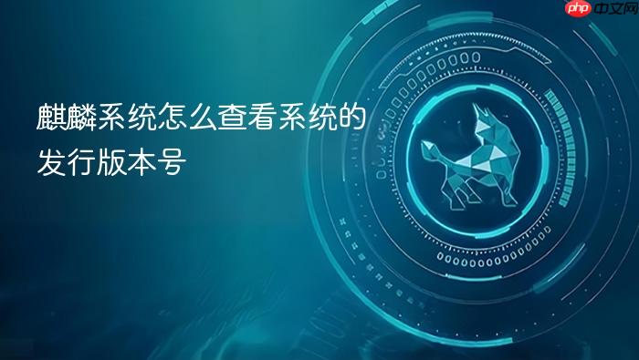 麒麟系统怎么查看系统的发行版本号
