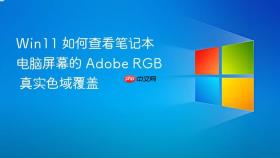 win11 如何查看笔记本电脑屏幕的 adobe rgb 真实色域覆盖