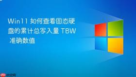 Win11 如何查看固态硬盘的累计总写入量 TBW 准确数值