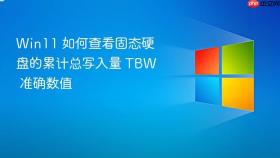 win11 如何查看固态硬盘的累计总写入量 tbw 准确数值