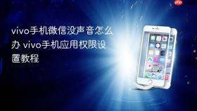 vivo手机微信没声音怎么办 vivo手机应用权限设置教程