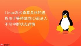 Linux怎么查看具体的进程由于等待磁盘IO而进入不可中断状态详情