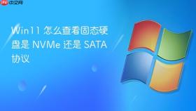 Win11 怎么查看固态硬盘是 NVMe 还是 SATA 协议