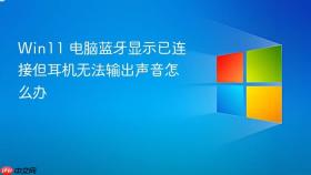 Win11 电脑蓝牙显示已连接但耳机无法输出声音怎么办