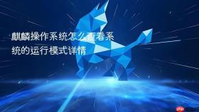 麒麟操作系统怎么查看系统的运行模式详情