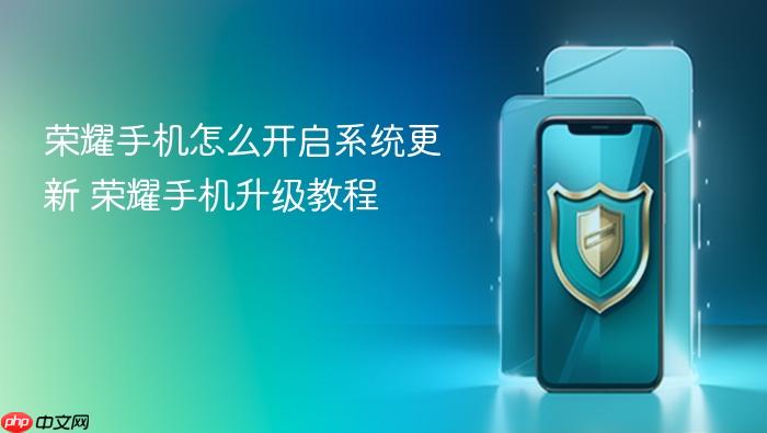 荣耀手机怎么开启系统更新 荣耀手机升级教程