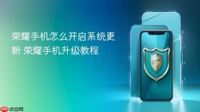 荣耀手机怎么开启系统更新 荣耀手机升级教程