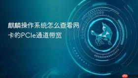 麒麟操作系统怎么查看网卡的PCIe通道带宽