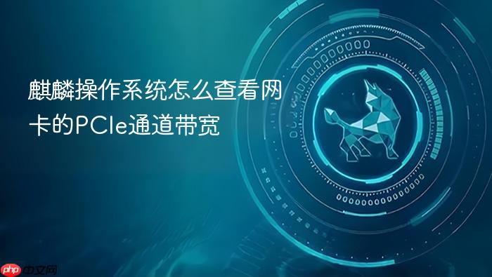 麒麟操作系统怎么查看网卡的pcie通道带宽