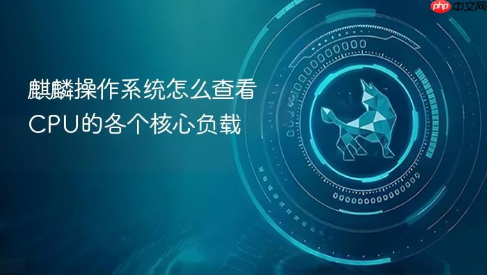 麒麟操作系统怎么查看cpu的各个核心负载