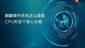 麒麟操作系统怎么查看cpu的各个核心负载