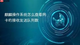 麒麟操作系统怎么查看网卡的接收发送队列数