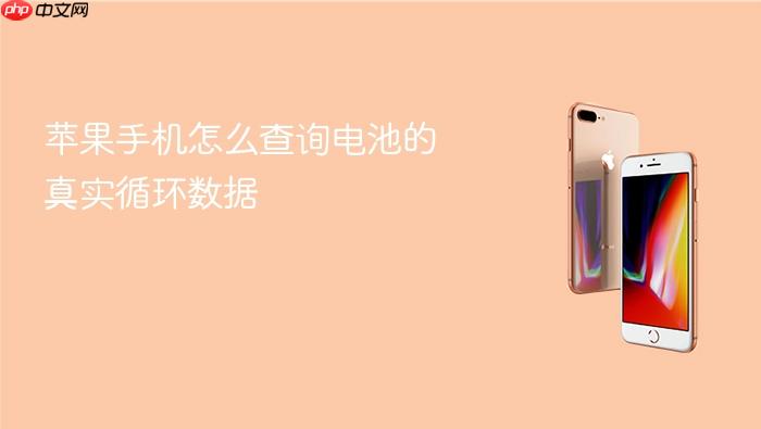 苹果手机怎么查询电池的真实循环数据