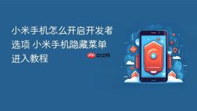 小米手机怎么开启开发者选项 小米手机隐藏菜单进入教程