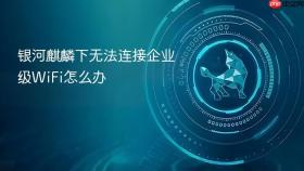 银河麒麟下无法连接企业级WiFi怎么办
